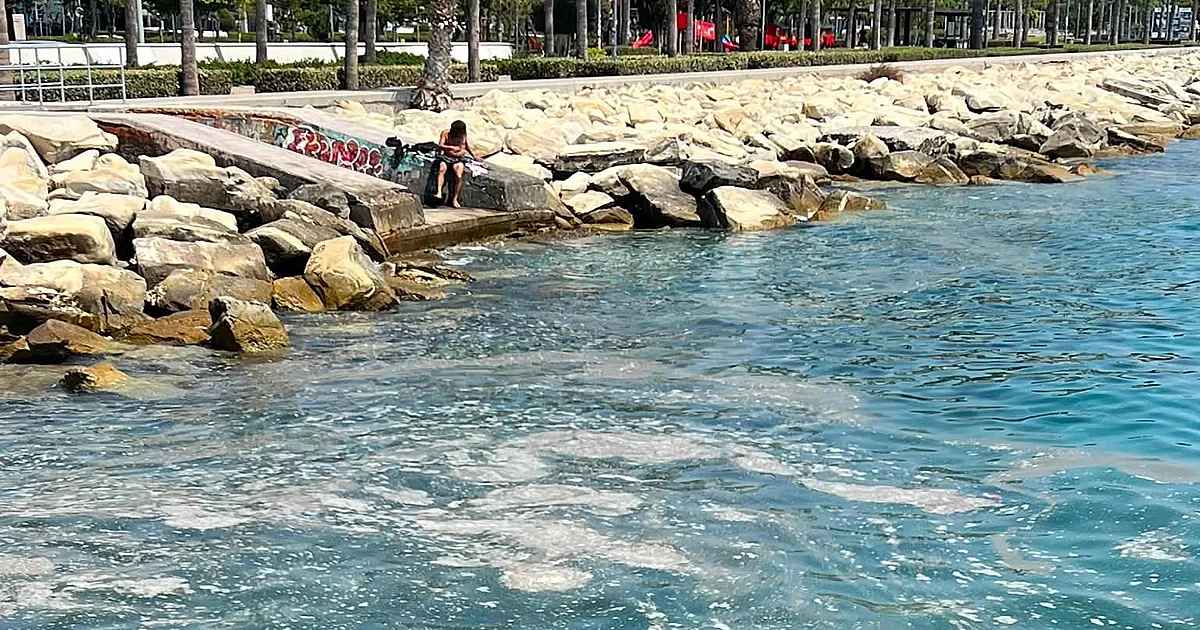 利马索尔老码头海域漂浮垃圾引众怒，儿童同场游泳 新闻配图